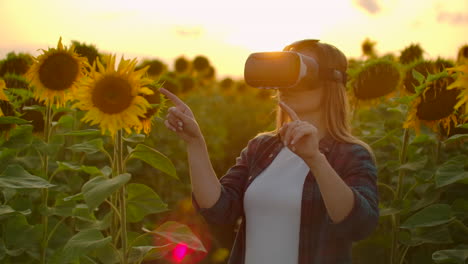 The-female-student-with-long-hair-in-plaid-shirt-and-jeans-is-working-in-VR-glasses.-She-is-engaged-in-the-working-process.-It-is-a-wonderful-summer-evening-in-the-sunflower-field-at-sunset.
